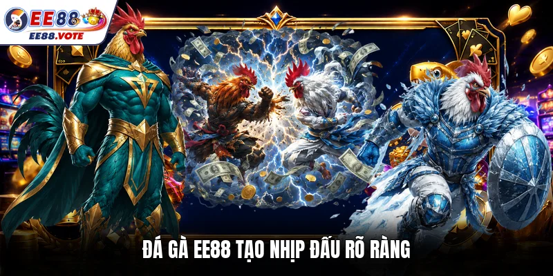 Đá gà EE88 tạo nhịp đấu rõ ràng